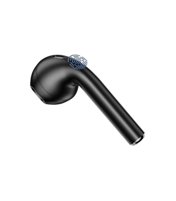 iBoga TWS - Image 2